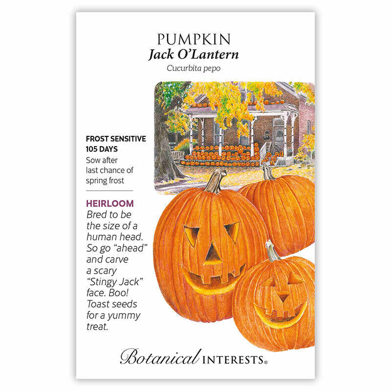 Warm Season Garden Seed Bundle