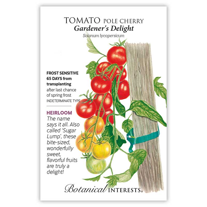The Beginner’s Garden Seed Bundle