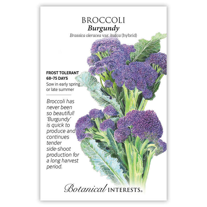 Cool Season Garden Seed Bundle