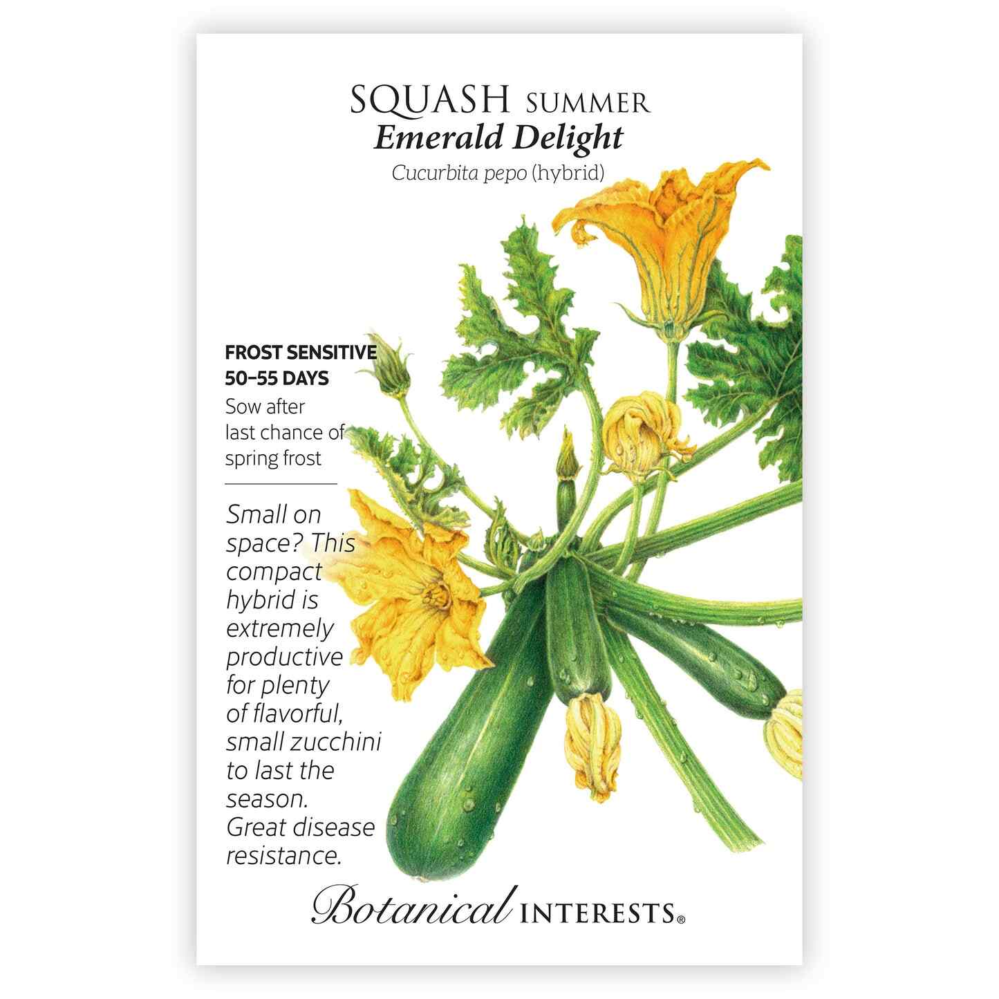 Southeast Seed Bundle