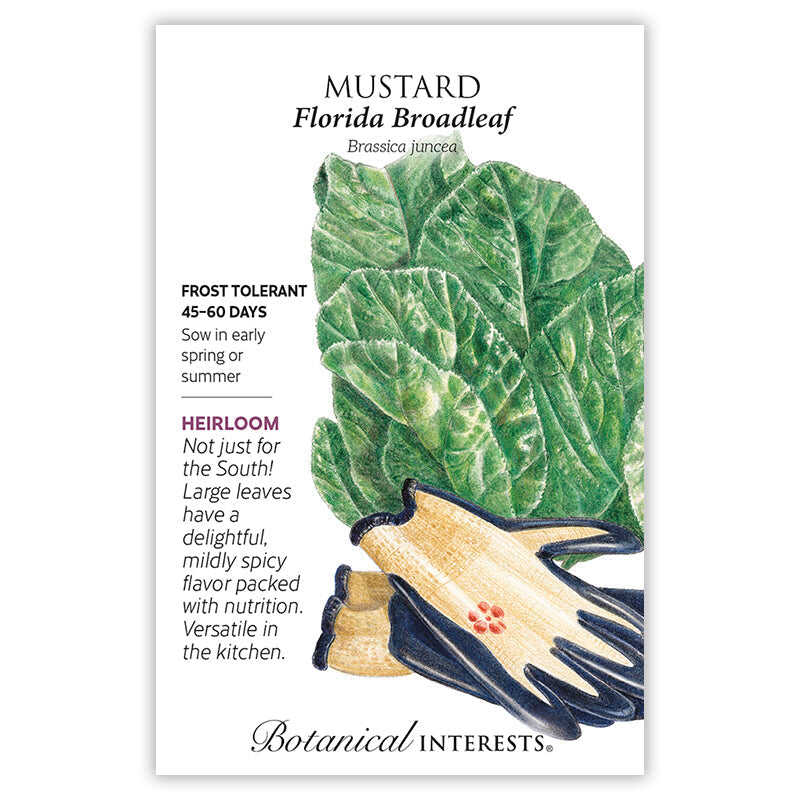 Southeast Seed Bundle