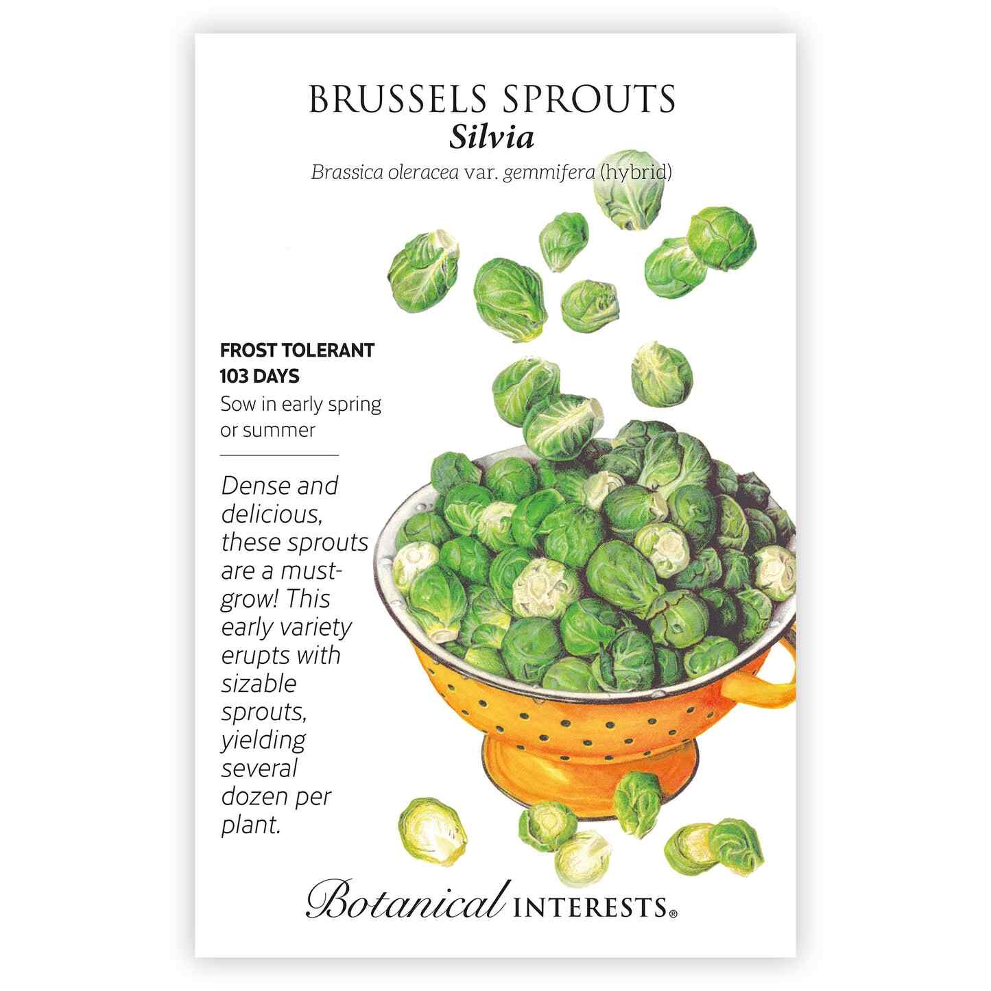 Northeast Seed Bundle