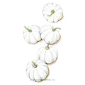 Casperita Pumpkin Seeds