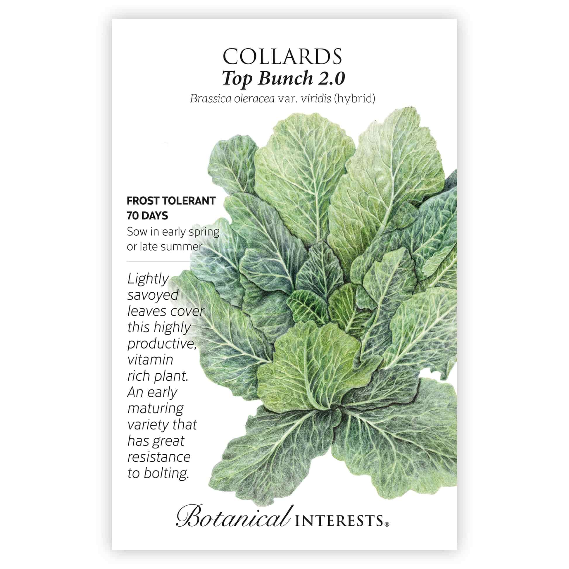 Southeast Seed Bundle
