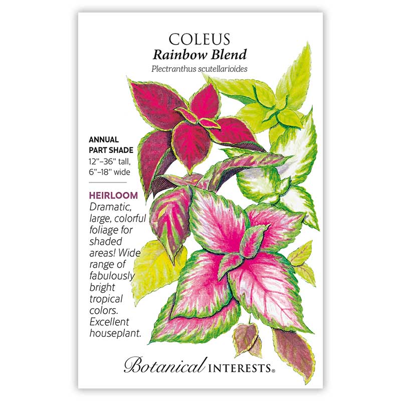 Southeast Seed Bundle