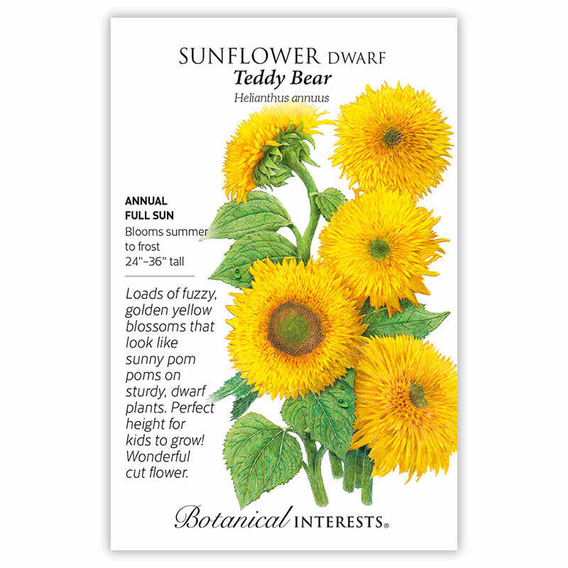 Pollinator’s Paradise Seed Bundle