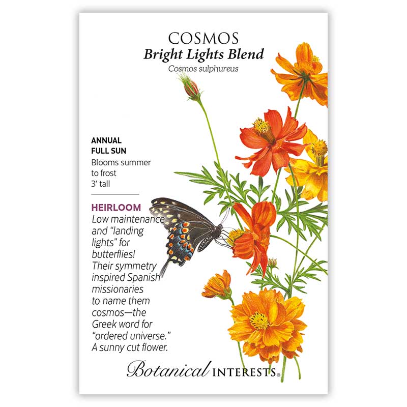 Warm Season Garden Seed Bundle