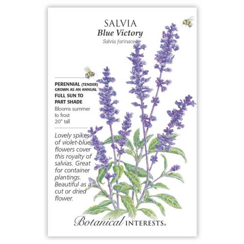 Blue Victory Salvia Seeds
