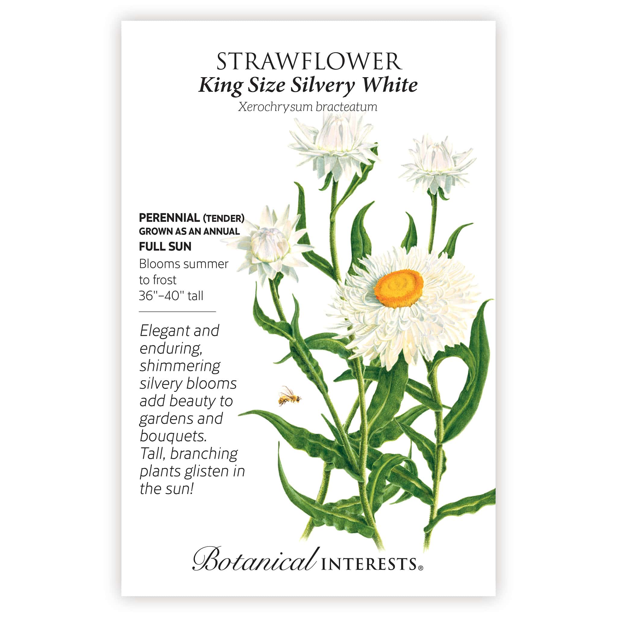 The Moon Garden Seed Bundle
