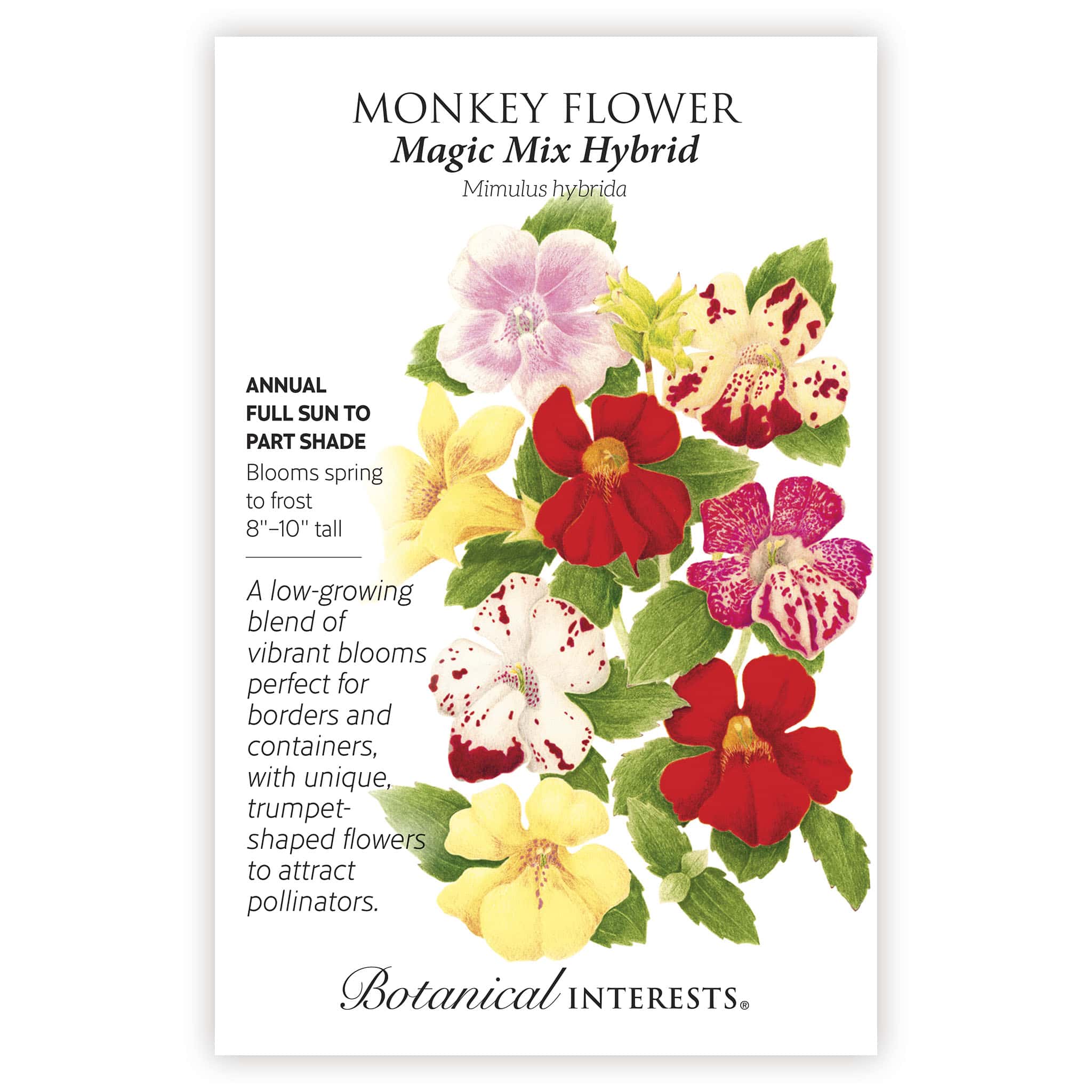 2026 New Varieties Seed Bundle