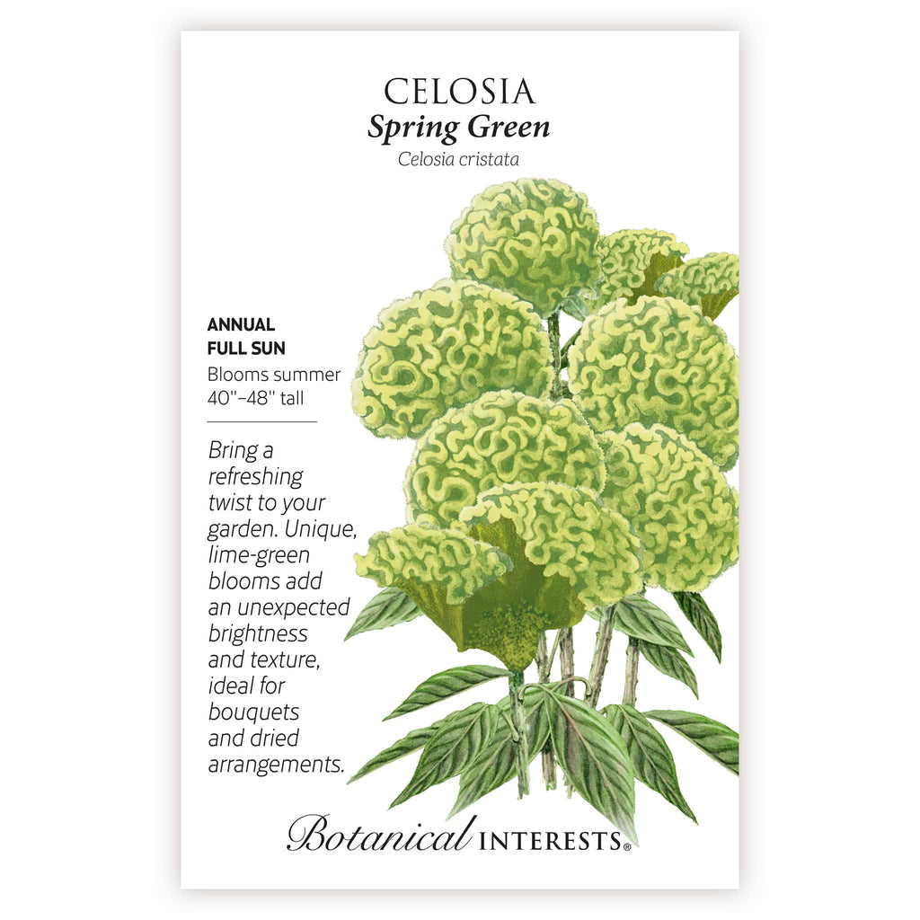 2026 New Varieties Seed Bundle