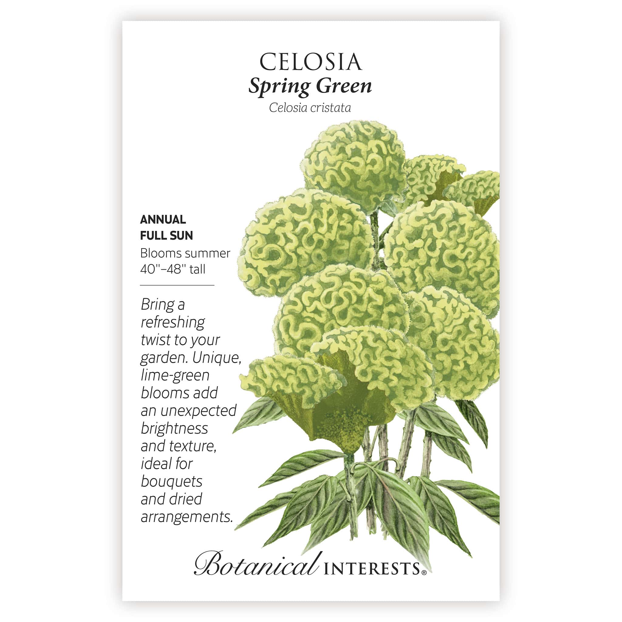 2026 New Varieties Seed Bundle