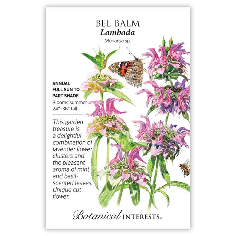 Pollinator’s Paradise Seed Bundle