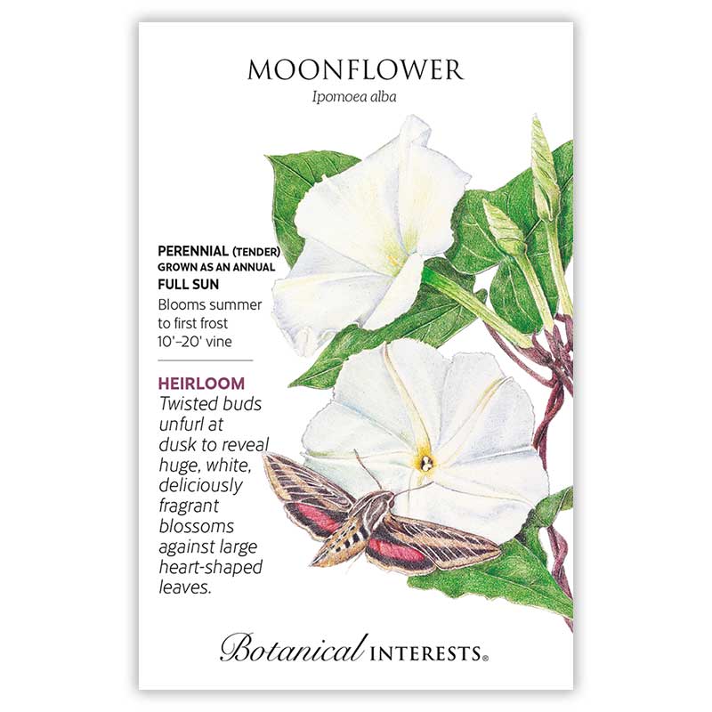 The Moon Garden Seed Bundle
