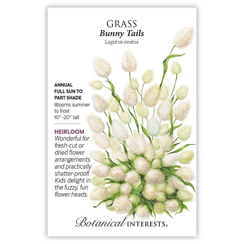Bunny Tails Grass Seeds