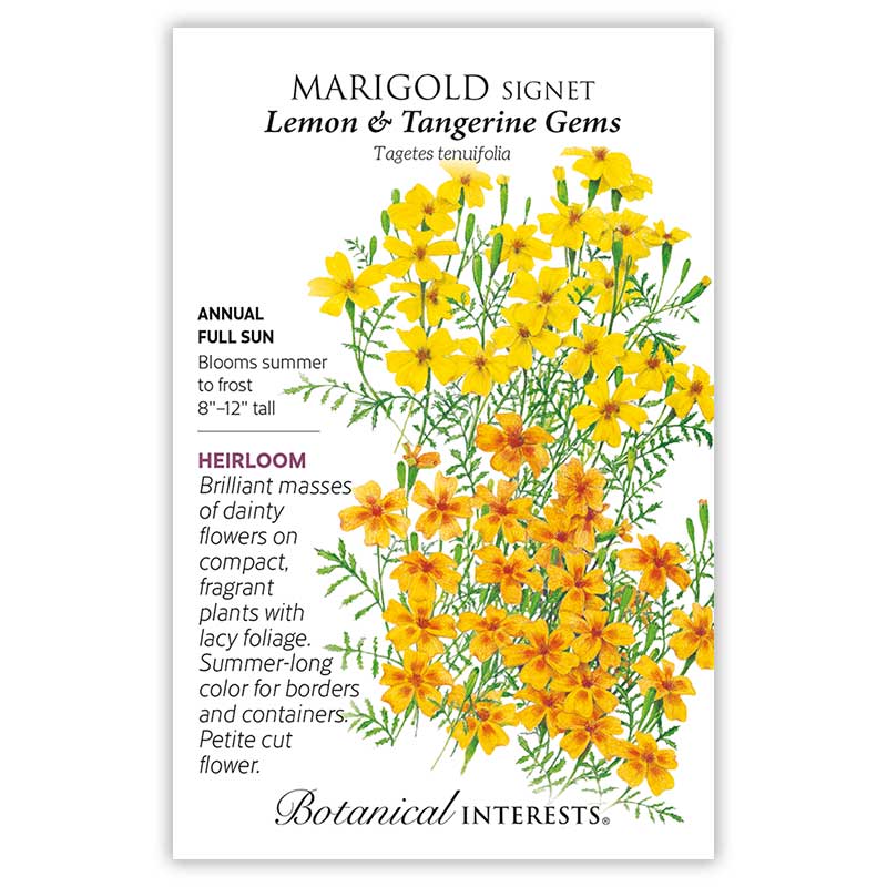 Northeast Seed Bundle