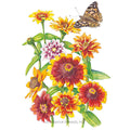 Persian Carpet Zinnia Seeds