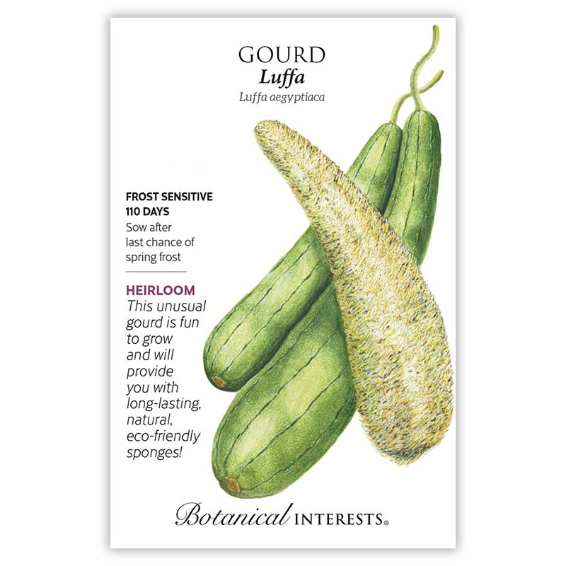 Treat Yo Self Seed Bundle