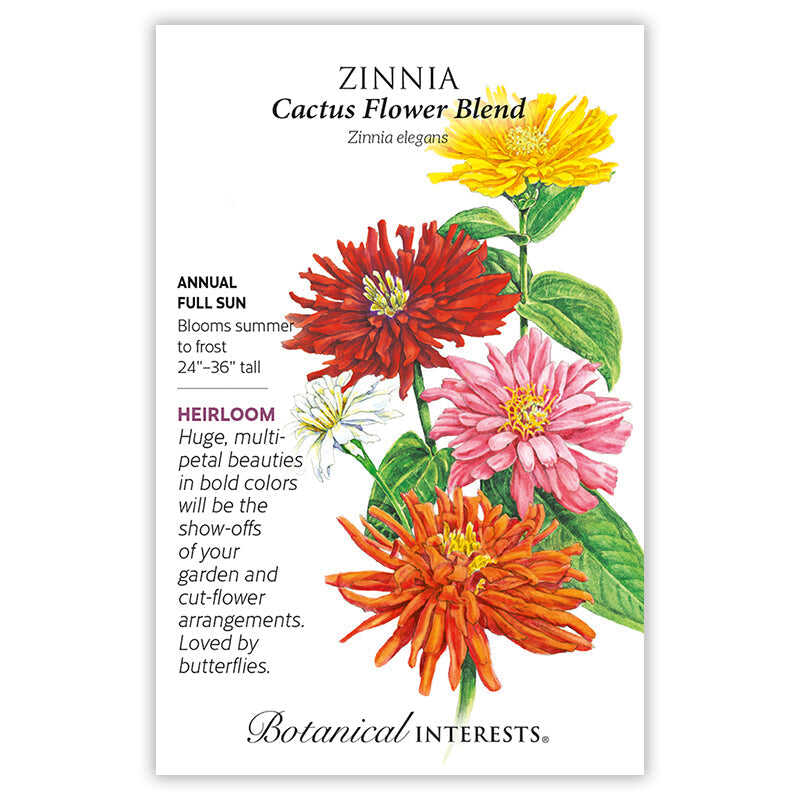 Southeast Seed Bundle