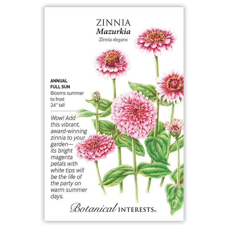 Warm Season Garden Seed Bundle