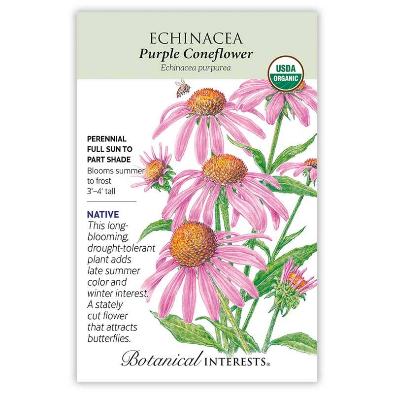 Eastern Breeze Butterfly Gift Set