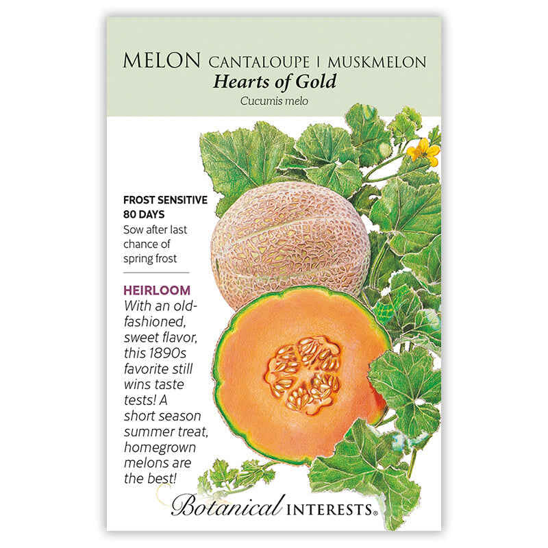Warm Season Garden Seed Bundle