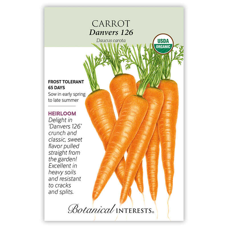 The Beginner’s Garden Seed Bundle