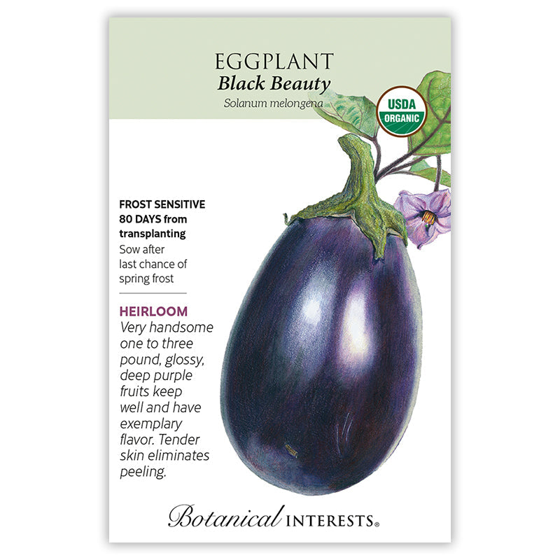 Warm Season Garden Seed Bundle