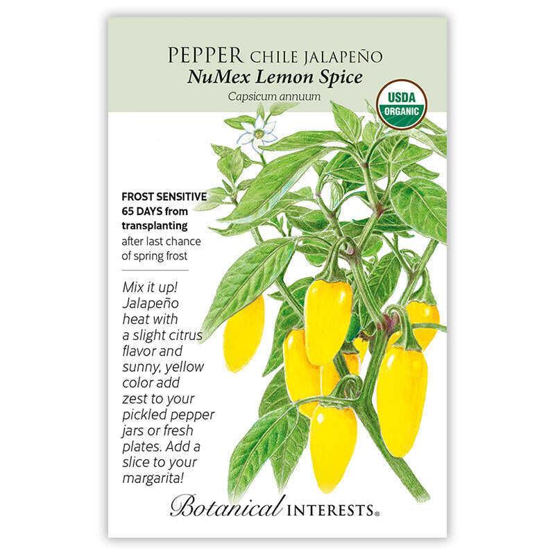 Warm Season Garden Seed Bundle