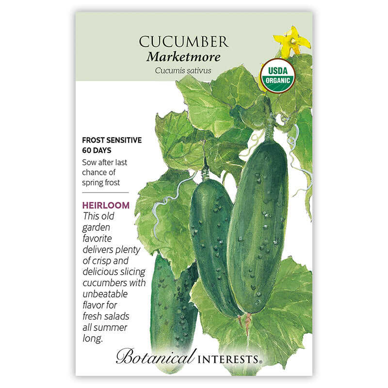 The Beginner’s Garden Seed Bundle