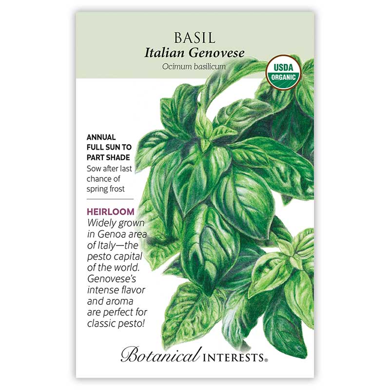 The Beginner’s Garden Seed Bundle