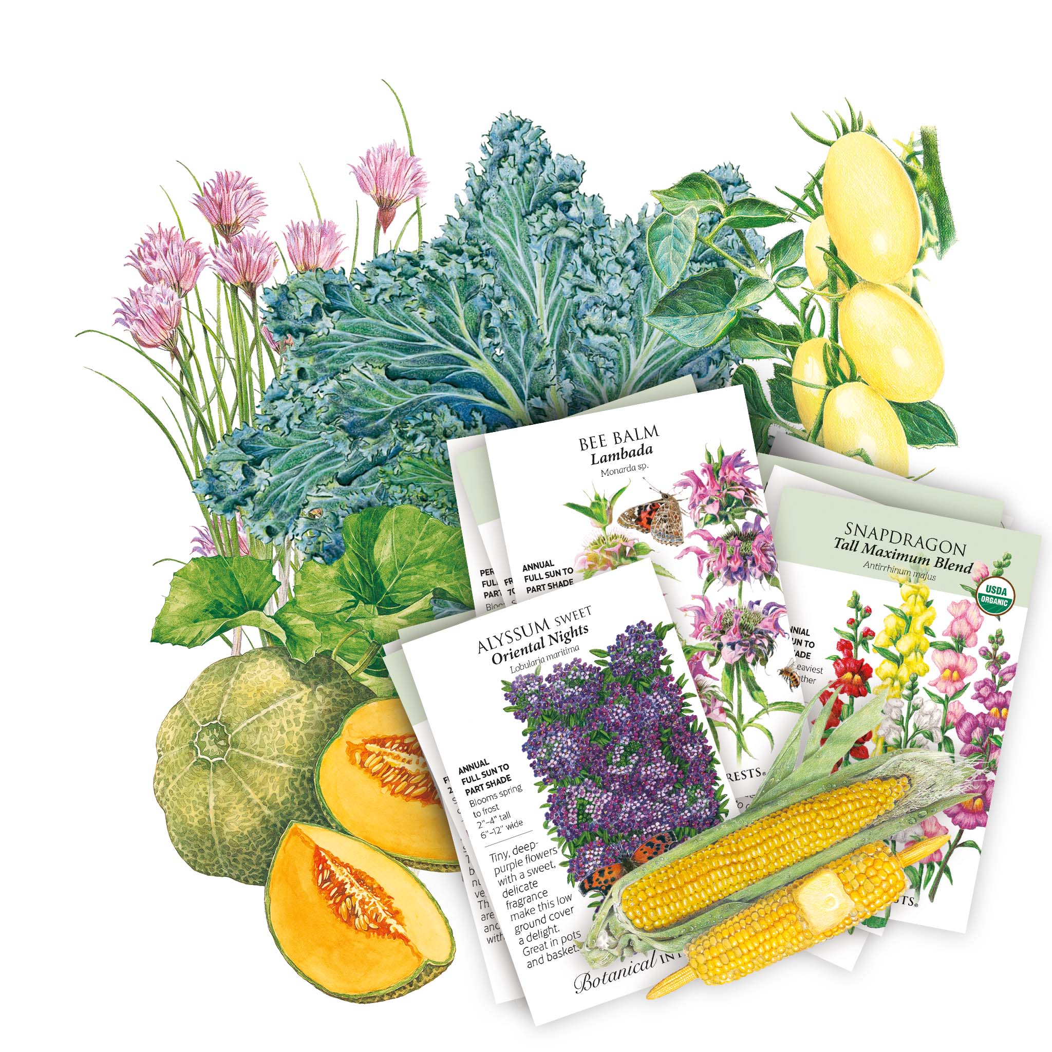 Midwest Seed Bundle