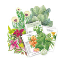 Southeast Seed Bundle