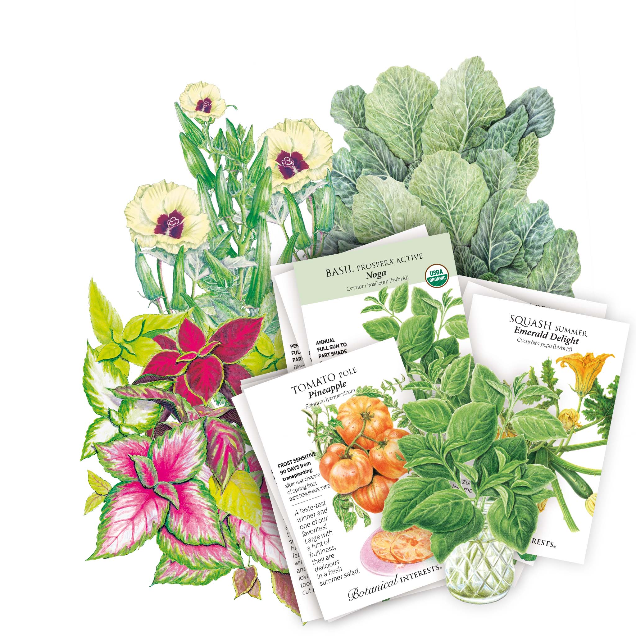 Southeast Seed Bundle