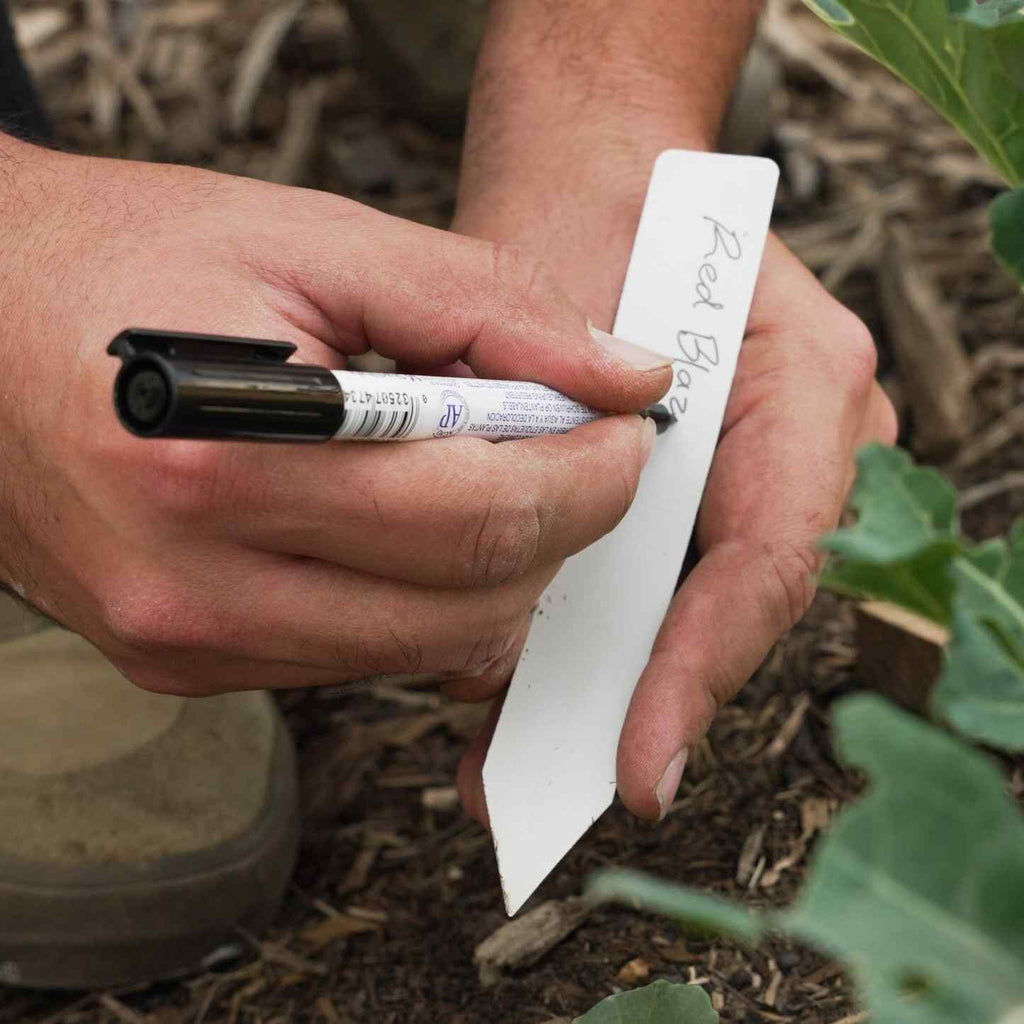 Garden Art Marker - Pack of 5