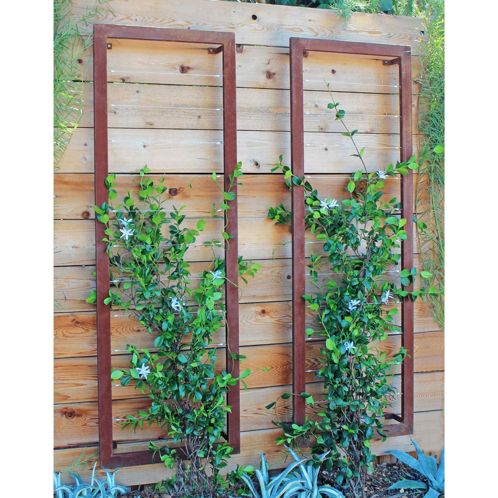 Ina Wall Trellis Large