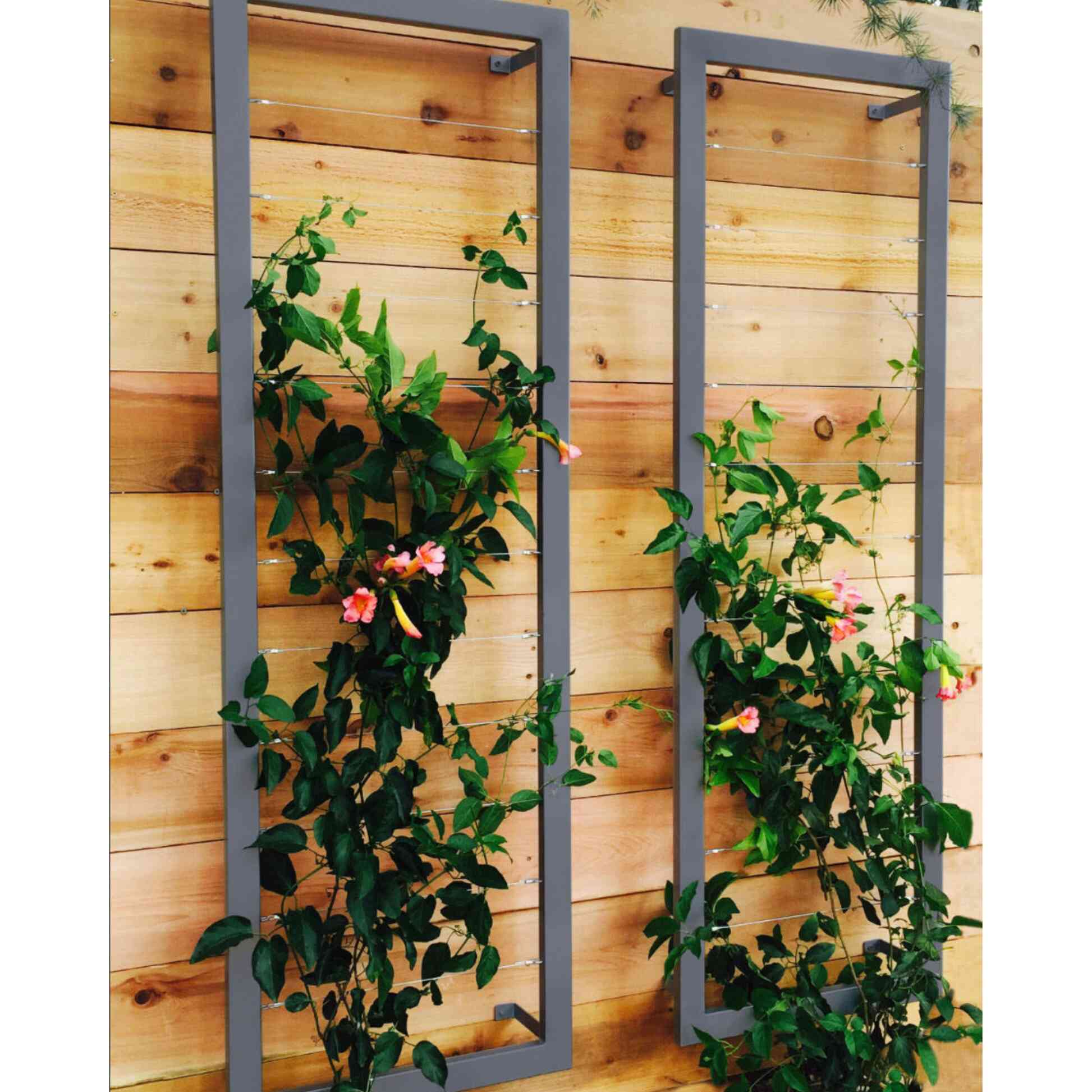 Ina Wall Trellis Large