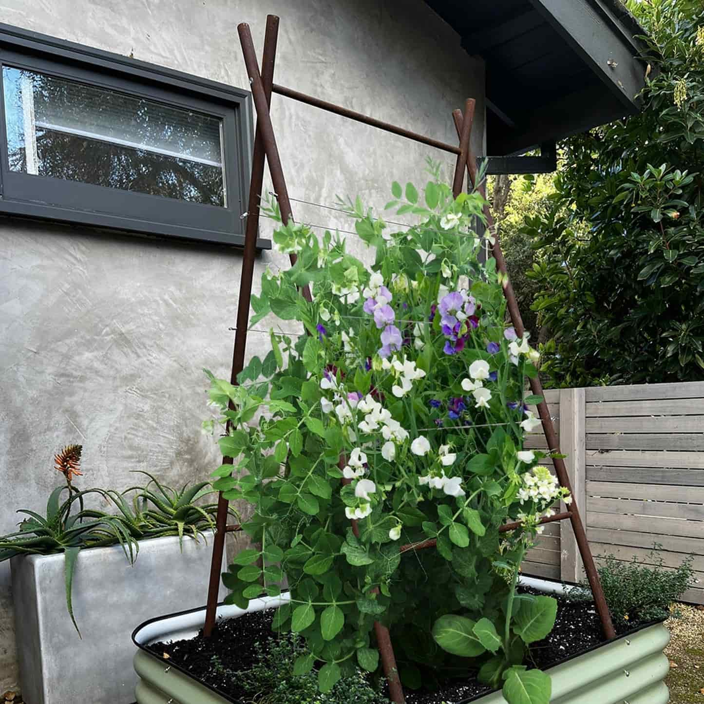 Epic x Terra Modern A-Frame