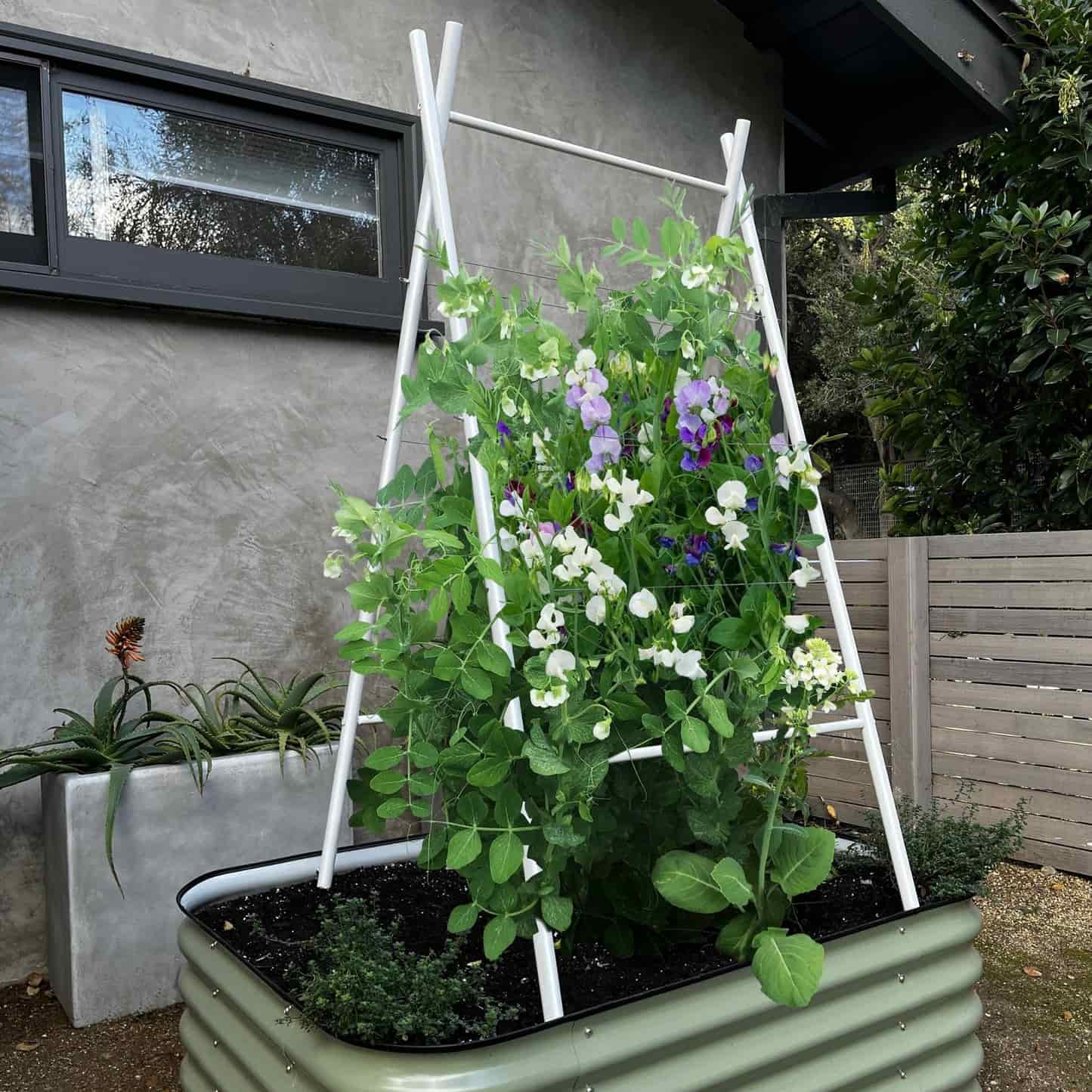 Epic x Terra Modern A-Frame