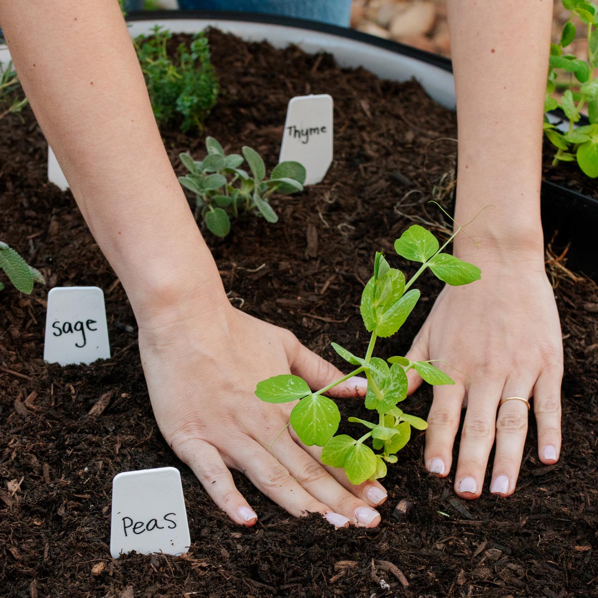 Epic Plant Tags